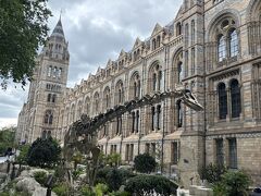 その後、隣の閉館時間間近の自然史博物館(Natural History Museum)を覗きました。