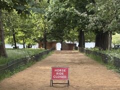 ロンドン3日目（5月8日）は、まずは、ケンジントンガーデンとハイドパーク((Hyde Park)を散策しました。