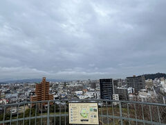 道後公園展望台。見晴抜群。
途中メジロ、エナガなどの野鳥もいました。上から見下ろせたので◎。