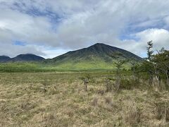 湿原展望所のあたりは湿原の景色が開ける。
