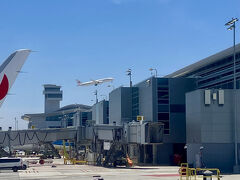 早着だったので、駐機場あくまで待機。その間に鶴丸飛びたった。そして今日も混んでるLAXイミグレ。今日は1時間10分並んだ。質問は、何しにきた？乗り継ぎで日本に帰るよ、ok have a nice day、で秒で終わった。まじ無駄な入国。どうにかなんないのこのシステム。双方疲弊するだけ。アメリカでもコーヒーが検査引っかかる。火薬反応テストされ、無罪放免。やっかいだな、コーヒー！