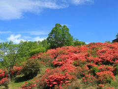 孤独な山道を抜けた先には天国が待っていました。「展望台下」で降りていれば、最初からここだったんですけどね。9：03着。この20分にも満たないロスを後々大きく悔やむことになります。
