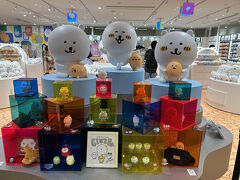 銀座に来ました。ナガノマーケットです。店内広々としていて、展示もかわいい！