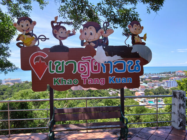 やはり猿が名物なんでしょうか