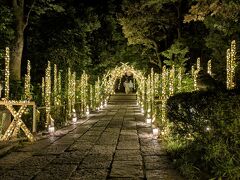 おウチ帰ってシャワー浴びて一眠りしたら、読売ランドのハナビヨリへ。