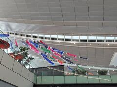 2025年5月5日 9時45分羽田発のJAL直行便でHeathrow空港目指します。
羽田空港は、こどもの日のためか、鯉のぼりが泳いでいました。