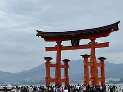 朝、新幹線に乗り込み、広島駅からJRで宮島口、フェリーで宮島へ。
お昼前には宮島に到着。潮がひいて大鳥居まで歩けるのは13-15時くらいとのこと。すごい人。