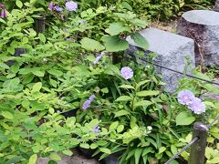 お隣のお寺、とても綺麗に整備されてたのでお邪魔してみた