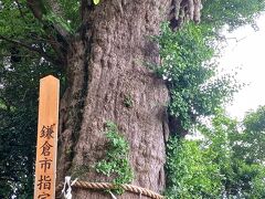 見事！