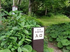 はあ？こんなところから？