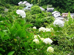 ここは眺めが良い。
東慶寺（駆け込み寺）がよく見える。