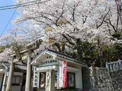 北野町東公園の北側にある石畳の小径を通り、北野天満神社までやってきました。
平清盛公が都を福原に移した際、鬼門鎮護を目的として京都の北野天満宮から勧請したと伝わる古社です。
北野の地名もこちらの神社から来ている様です。

こちらは神戸の桜スポットとしても有名なので、是非訪ねてみたいと思っていました。
写真は参道入口ですが、期待に違わず美しい桜が出迎えてくれました。