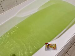 21時半、ホテル帰着。

持参の入浴剤、バブメディキュア柑橘の香りを入れて温まり
いっぱい歩いた足の疲れを取って。　お休みなさい。