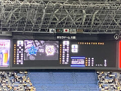 DeNA 0 1 0 0 0 2 0 3 0 0 0 0　6
阪  神 0 0 0 2 0 2 2 0 0 0 0 0　6

奥様は、4-3と1点リードの7回裏に、大山の2点タイムリー3塁打で、リードを3点に広げた時点で、勝利のセレモニー用のペンライトの電池を入れていましたが、直後の8回表に、昨年までの勝利の方程式の一角であった、ゲラが大不調で3点を奪われ振り出しに戻されてしまいました。
サヨナラのチャンスも生かせず、結局引き分けとなりました。

バッテリー：
DeNA：大貫、颯、坂本、堀岡、篠木、伊勢、宮城、入江 - 戸柱、山本
阪  神：ビーズリー、桐敷、及川、ゲラ、岩崎、石井、伊原、工藤 - 梅野

審判：（球）土山、（一）眞鍋、（二）須山、（三）深谷
観客数　36,146人、試合時間　4時間28分