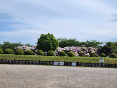 この前は3月だったので
全く花などはなかったけど
ツツジが咲いてます。
先月なら桜間に合った。
でもすごい人だろうし
今日は人がとても少なくて良かったです。
なぜか3月より少ない。
1時間早く到着してるからかなぁ？