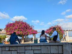 カモンイス広場から出発する28番トラムは右側に座るのがおすすめです。リスボン大聖堂やサンタルジア展望台、ポルタス・デ・ソル広場、サン・ヴィセンテ教会など、主な観光スポットは右手にあるので。窓からの景色をスマホで動画撮影するのもおすすめ。帰ってきてから動画を見返すと、乗っていたときの気分が味わえます。