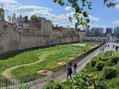 左手にはロンドン塔が見えます。入場料お高いので、今回は外から見ただけです。