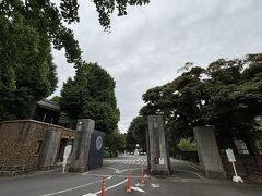 先に見えたのはこっち