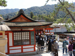 厳島神社
1996年 世界文化遺産に登録されましたが現在地を選んで御社殿を建てたのは遙か古 593年と伝えられています。