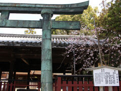 厳島神社 摂社のひとつ「三扇神社」の、青銅の鳥居を眺めて