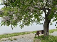 あのベンチ