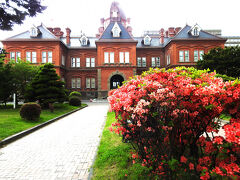 ツツジと赤れんが庁舎