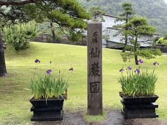 園内にところどころ花菖蒲があって可愛い