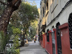 自分以外みんなメキシコ人！のはず