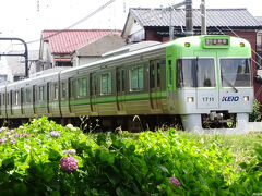 .... うまく撮れないなあ..
24000株も植えてあるらしい。ここよりも、シモキタと明大前の間や永福町から浜田山のあたりだそうだ。

