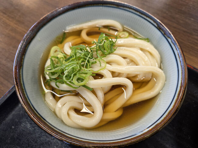 ぶっかけうどん（冷）