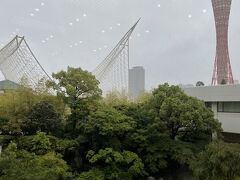 重い足を引きずりながら、帰宅ラッシュ真っ只中の大阪駅から快速で三ノ宮のホテルまで戻ります。
（新快速より途中からでも座れる確率が高そうだったので）

翌朝も雨模様。。。
