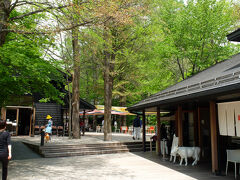 続いて向かったのはハルニレテラス。
上り坂がもっときついかと思っていたのですが、意外とそうでもありませんでした。
こちらも週末は混み合うのでしょうが、平日はこんな感じです。