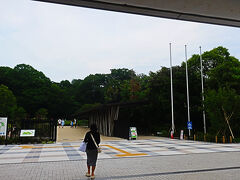 こちら駅構内から撮影
駅からすぐの場所に田園調布せせらぎ公園があります

嘗ては多摩川園(遊園地)があった場所
多摩川駅もかつては多摩川園駅でした