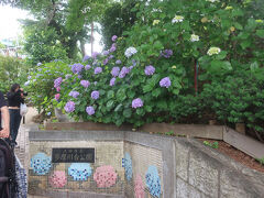 多摩川台公園