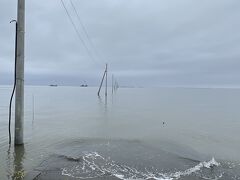 長部田海床路