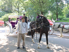 写真を撮る体勢になったら馬が振り向いてくれた。馬は賢いのでわかったんだろうな。