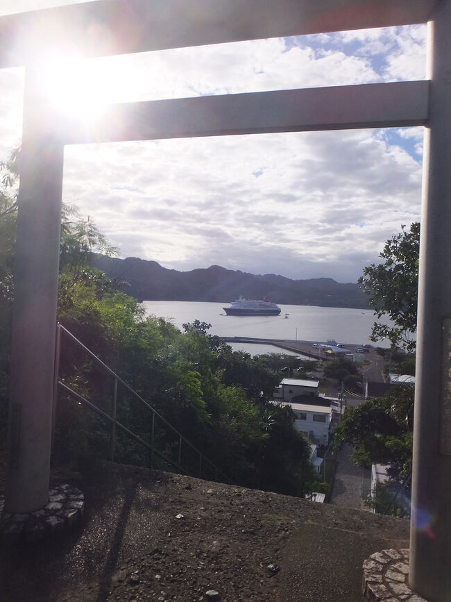 上り詰めたら鳥居が。<br />にっぽん丸があんなに小さい。