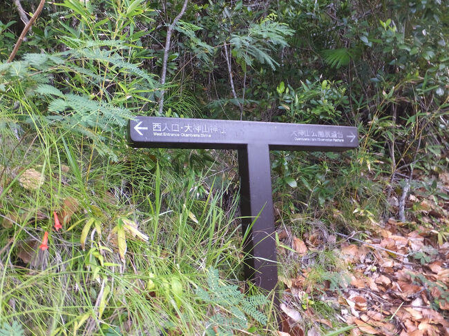 さらに上に展望台があります。<br />なのでさらに階段を登ります。