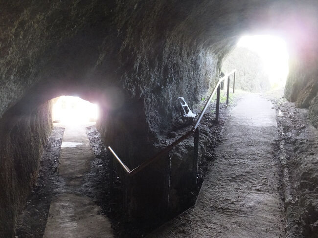 中で分岐も。<br />昔の陣地の跡、けっこう残ってるんですね。<br />さらに上に展望台があるようですがここで引き返すことにします。