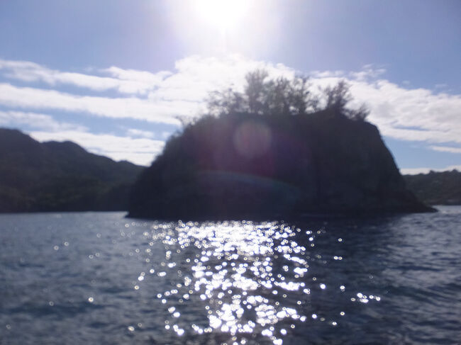 湾の中の小島。