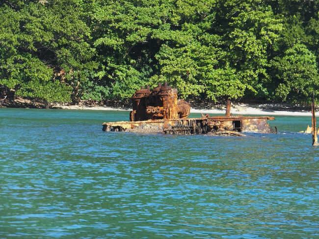 見えてきました。