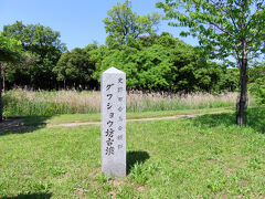 大仙公園内にあるグワショウ坊古墳。５世紀後半に造られたものといわれ、上から見ると卵形をしているそうです。