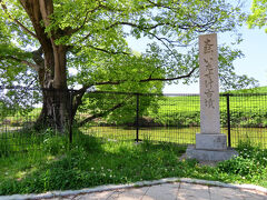 百舌鳥古墳群のほぼ中央に位置するいたすけ古墳。前方後円墳で、墳丘の形や埴輪の状況から5世紀前半の築造といわれています。