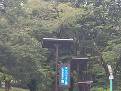 東村山中央公園です
