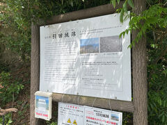 海沿いの鬱蒼とした小山です。