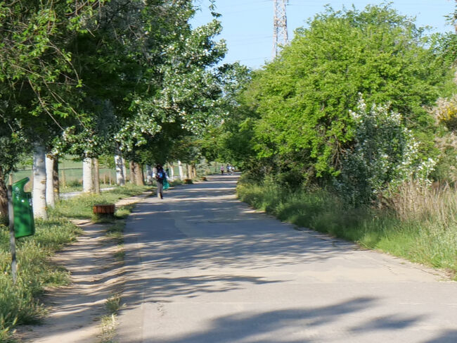 グラヘラ公園へ