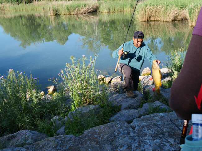 フランコ独裁政権時代の人工貯水湖と釣果