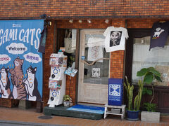 国際通りは
大はしゃぎの修学旅行生と大声で話す外国人でカオス　Σ(ﾟдﾟlll)

最近オシャレなお店が増えたという浮島通りで
Ｔシャツを買って　急いで退散(＠_＠;)　