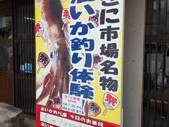 活イカ釣りして食べてみたいです。