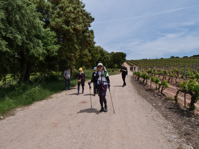 Alto de San Anton <br />サンアントンの丘付近